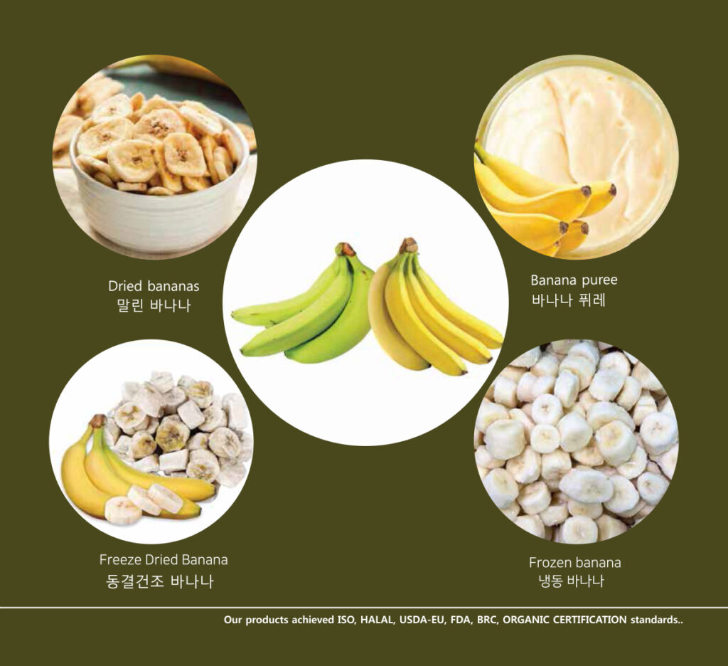 banana Powder, Freeze-dried, Frozen, Syrup, Juice, IQF, Spray Drying, Freeze Drying Mekong Delta Agri