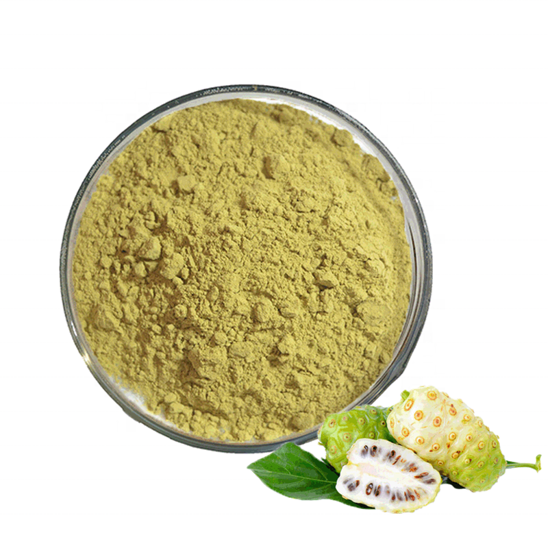 Mekong Delta Agri Freeze Noni Powder Export B2B