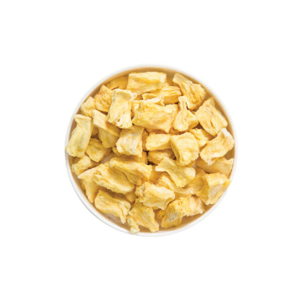 Mekong Delta Agri Freeze Dried Pineapple Export B2B