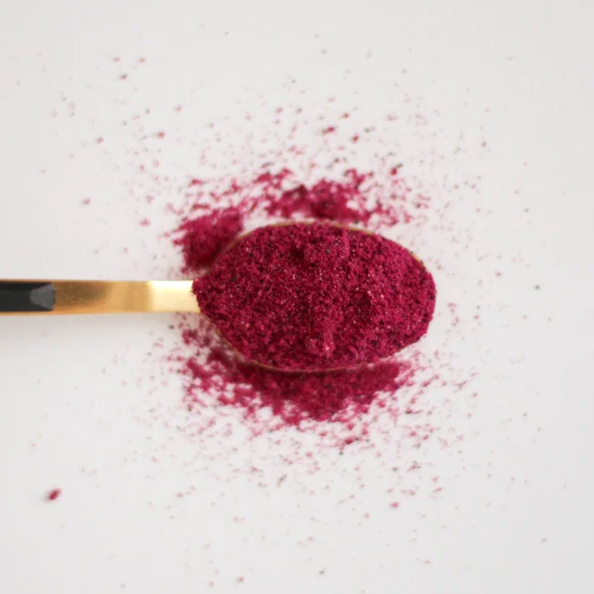 Mekong Delta Agri Freeze Dried Red Dragon Fruit Powder Export B2B