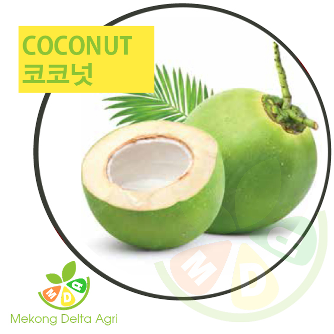 coconut - 코코넛 - dừa Mekong Delta Agri