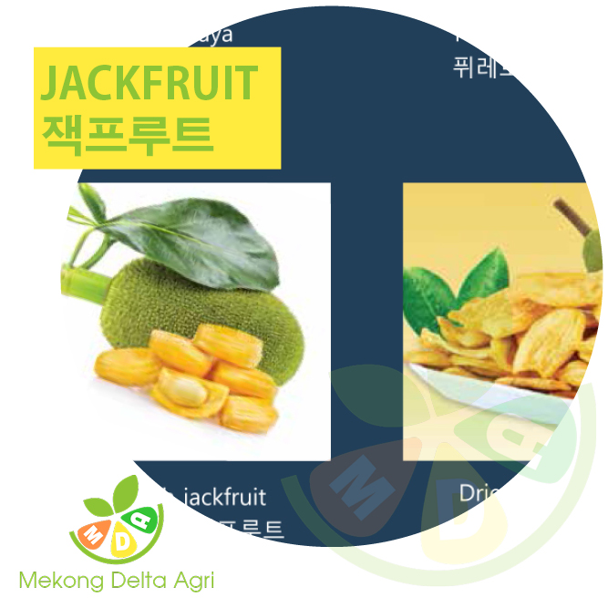 jackfruit - 잭프루트 - mít Mekong Delta Agri