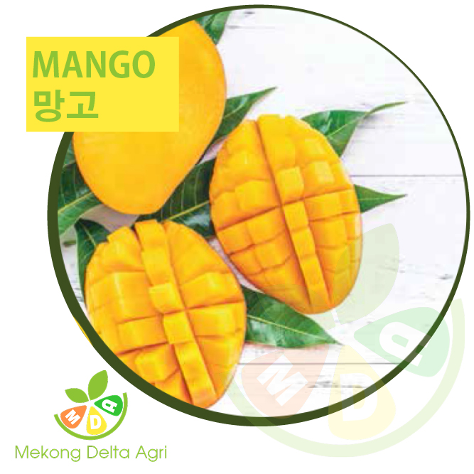 mango - 망고 - xoài Mekong Delta Agri