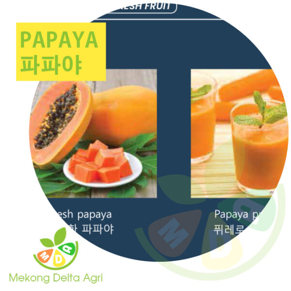 papaya - 파파야 - đu đủ Mekong Delta Agri