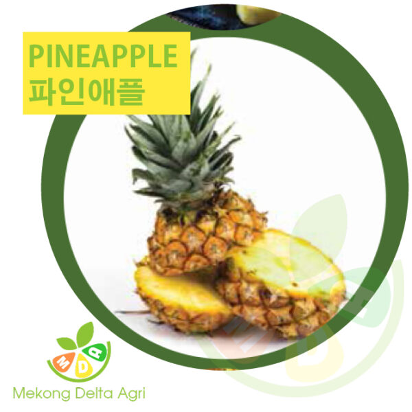 pineapple - 파인애플 - dứa Mekong Delta Agri