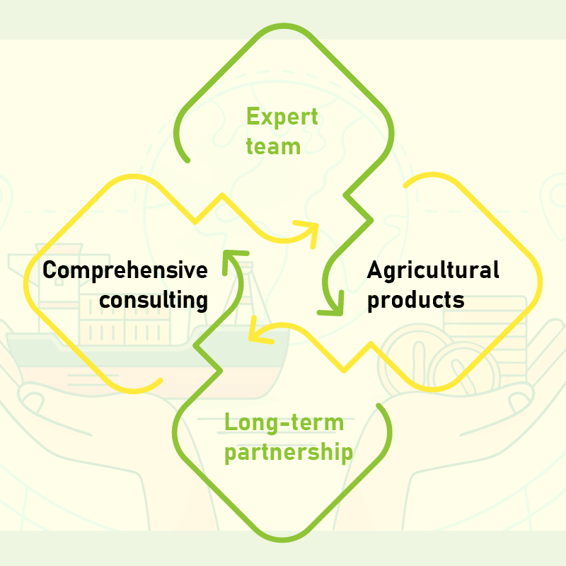 MDA Import Export Consulting